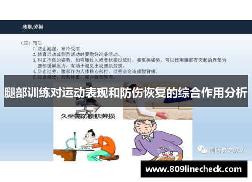 腿部训练对运动表现和防伤恢复的综合作用分析