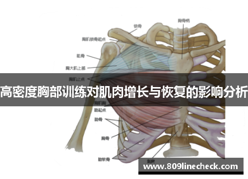 高密度胸部训练对肌肉增长与恢复的影响分析